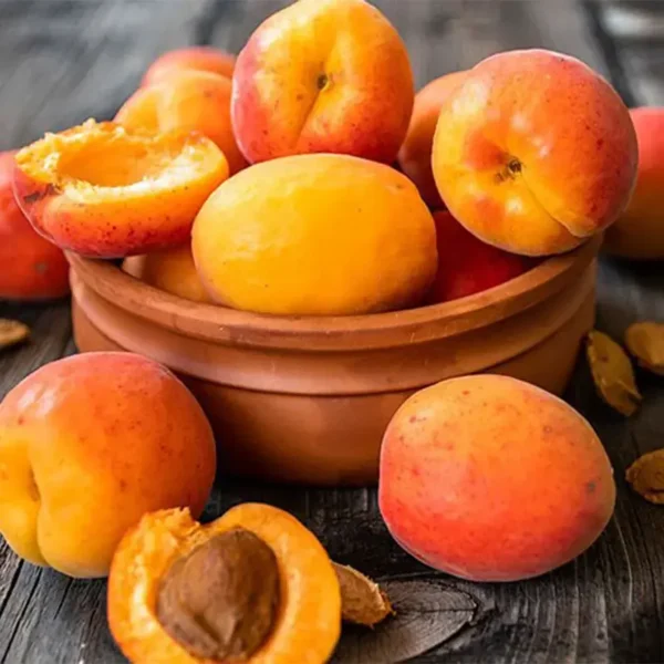 زردآلو؛ میوه‌ای خوش‌عطر، مغذی و مفید برای همه سنین