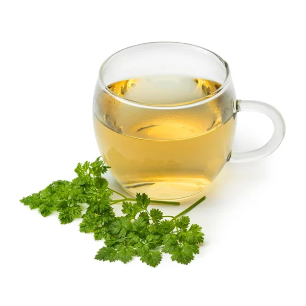 دمنوش گشنیز — چای معطر برای بهبود گوارش و آرامش اعصاب