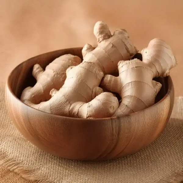 زنجبیل (Ginger) – ریشه‌ای با طعمی گرم و خواصی شگفت‌انگیز