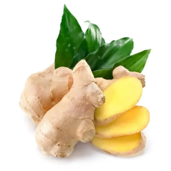 زنجبیل (Ginger) – ریشه‌ای با طعمی گرم و خواصی شگفت‌انگیز