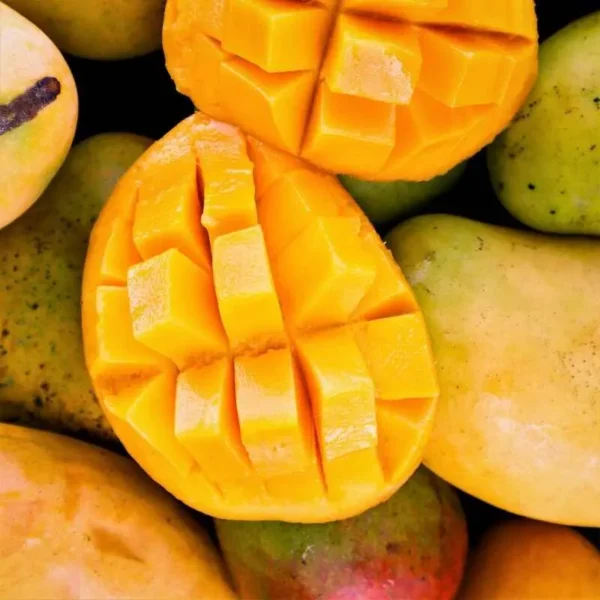 انبه (Mango) – میوه‌ای گرمسیری با طعمی شیرین و خواصی شگفت‌انگیز