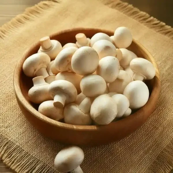 قارچ تازه – منبعی سالم، کم‌کالری و سرشار از خواص تغذیه‌ای