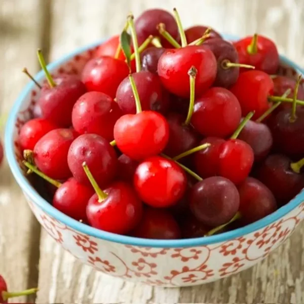 آلبالو؛ میوه‌ای ترش‌مزه با خواص درمانی شگفت‌انگیز