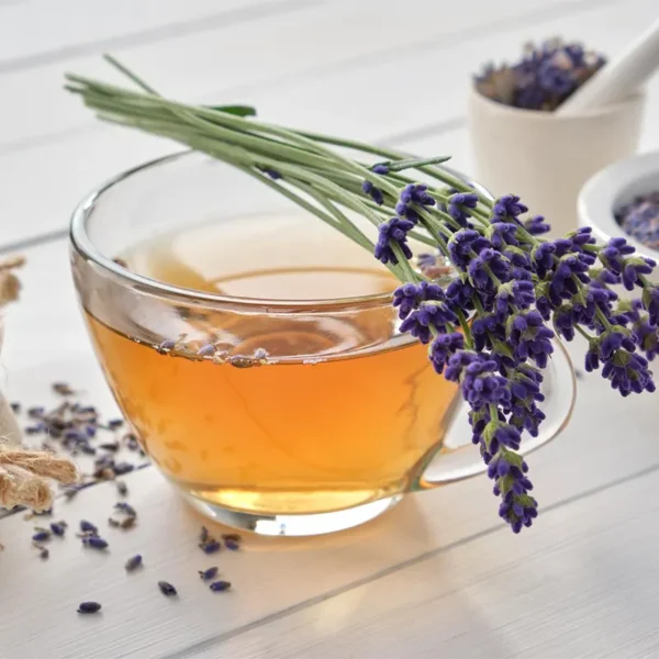 دمنوش اسطوخودوس — چای معطر آرامش‌بخش برای ذهن، بدن و خواب آرام