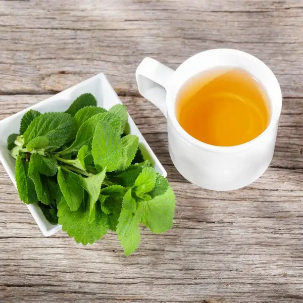 دمنوش بادرنجبویه – آرامش‌بخش طبیعی برای جسم و ذهن