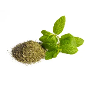 ادویه پودر نعنا — خنک، خوش‌عطر، پرخاصیت؛ ادویه‌ای همه‌کاره در آشپزخانه ایرانی