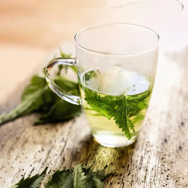 دمنوش گزنه – نوشیدنی غنی از مواد مغذی و مدر طبیعی